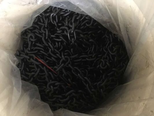 Dubbele Oxydatieg80 Opheffende Keten 11mm/16mm 20MN2 25MNV Materiële Norm en818-2